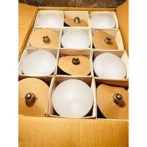 24 Hytron 520650 BR40 75W 130V Rough Flood Spot Industrial Light Bulbs NEW